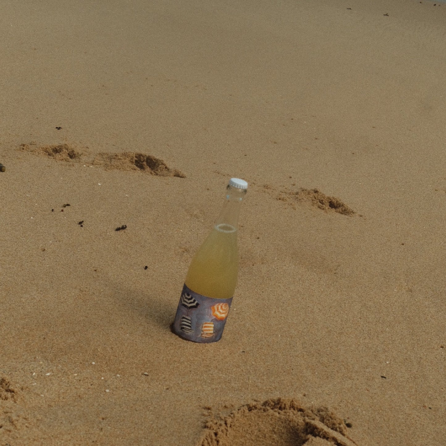 2023 'Gone Swimming' Pét Nat Blanc