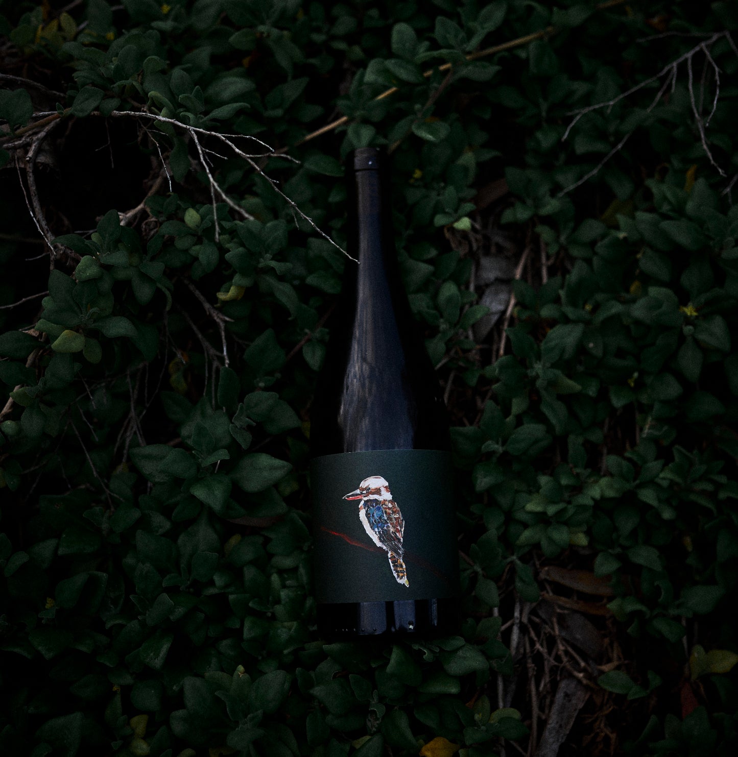 2024 'Laugh it Off' Fiano
