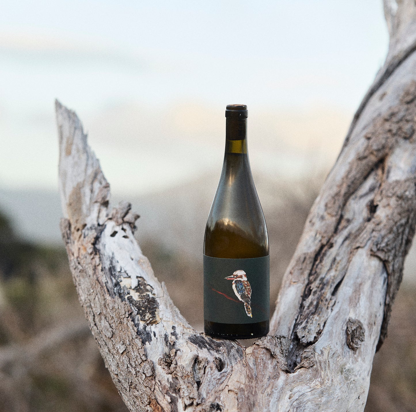 2024 'Laugh it Off' Fiano