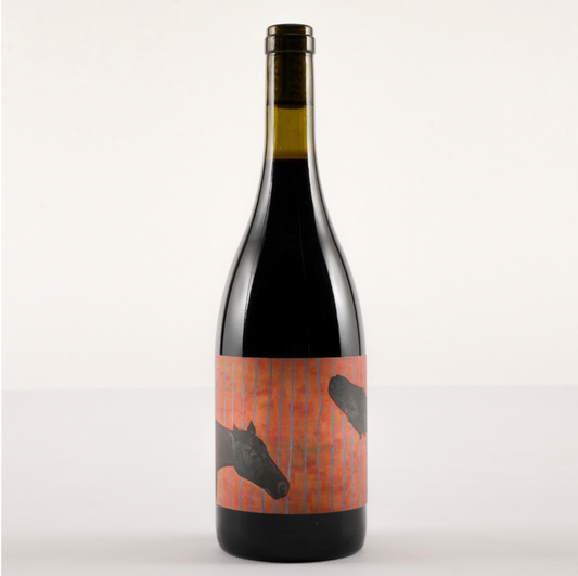 2022 'Midnight Dilemma' Shiraz